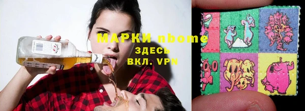 соль ск Бородино